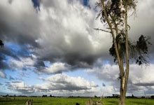 开云体育登录-摩纳哥主场战平，保级形势愈发严峻的简单介绍
