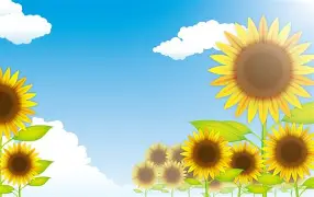 夏尔图队全力备战,力争长远发展 夏尔图队全力备战,力争长远发展