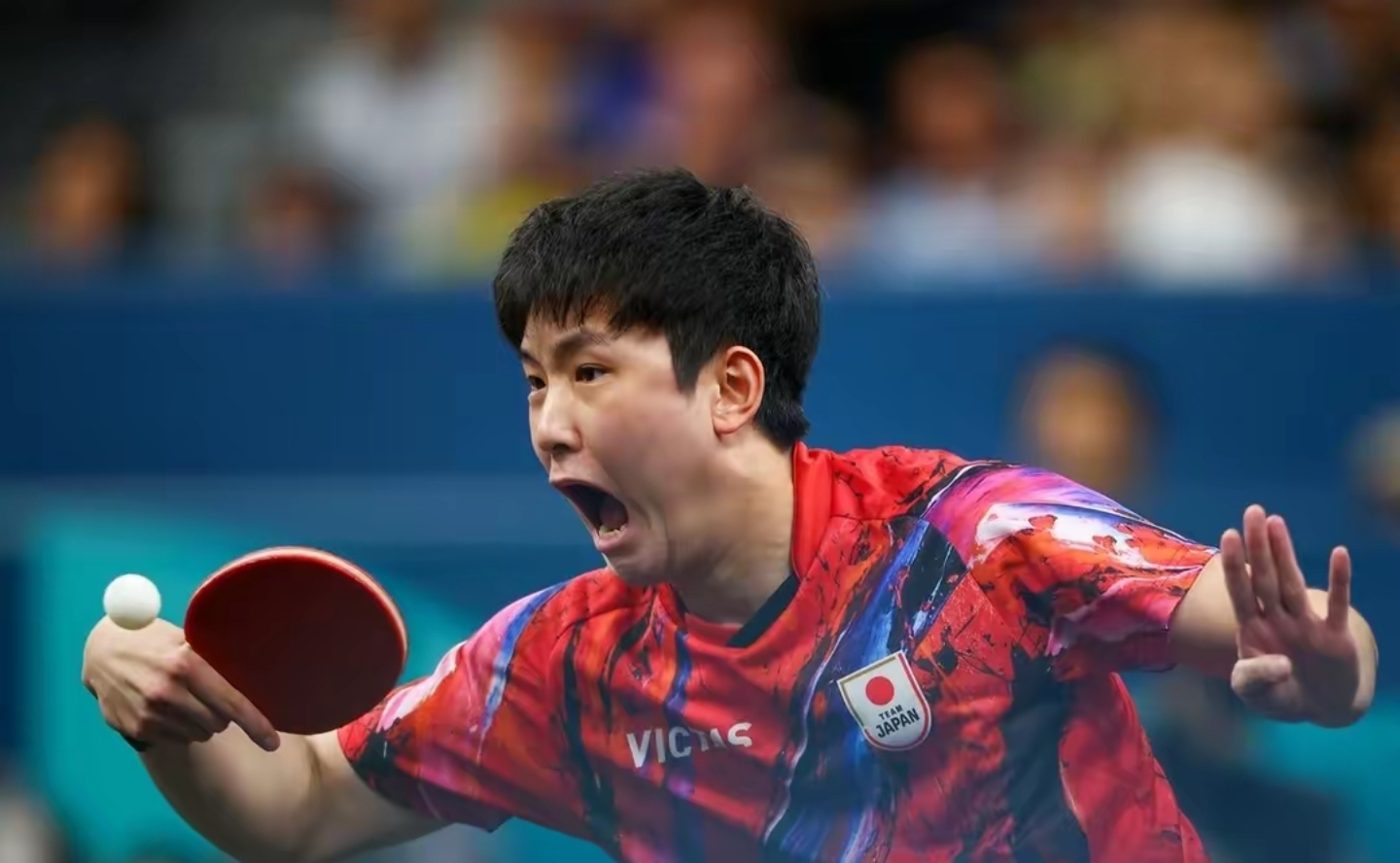 包含波兰乒乓球队翻盘瑞典乒乓球队,许昕统治全场的词条 包含波兰乒乓球队翻盘瑞典乒乓球队,许昕统治全场的词条